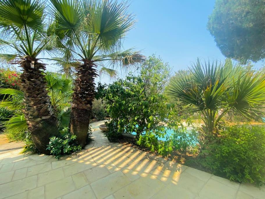 Atlantide - Somptueuse Villa Classee 4 Etoiles - Saint-Clair - Vue Exceptionnelle - Piscine 塞特港 外观 照片